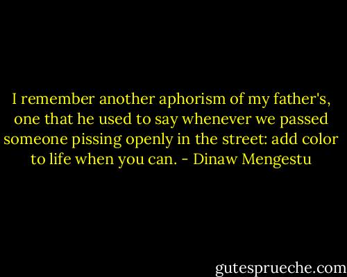 I remember another aphorism of my father's, one that he used to say whenever we passed someone pissing openly in the street: add color to life when you can. - Dinaw Mengestu