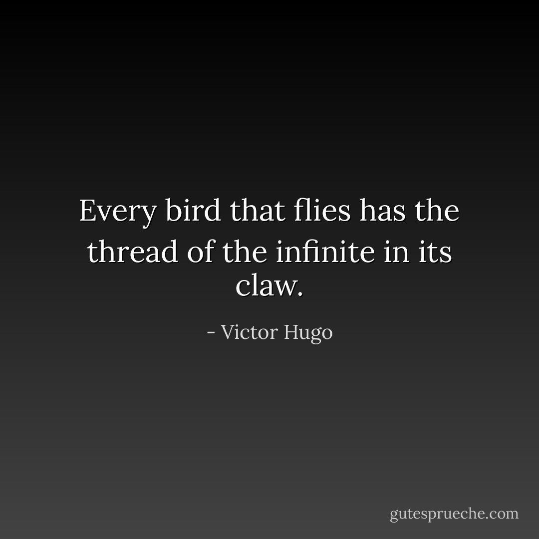 Every bird that flies has the thread of the infinite in its claw. - Victor Hugo