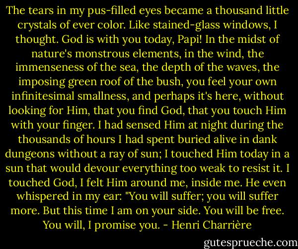 The tears in my pus-filled eyes became a thousand little crystals of ever color. Like stained-glass windows, I thought. God is with you today, Papi! In the midst of nature's monstrous elements, in the wind, the immenseness of the sea, the depth of the waves, the imposing green roof of the bush, you feel your own infinitesimal smallness, and perhaps it's here, without looking for Him, that you find God, that you touch Him with your finger. I had sensed Him at night during the thousands of hours I had spent buried alive in dank dungeons without a ray of sun; I touched Him today in a sun that would devour everything too weak to resist it. I touched God, I felt Him around me, inside me. He even whispered in my ear: "You will suffer; you will suffer more. But this time I am on your side. You will be free. You will, I promise you. - Henri Charrière