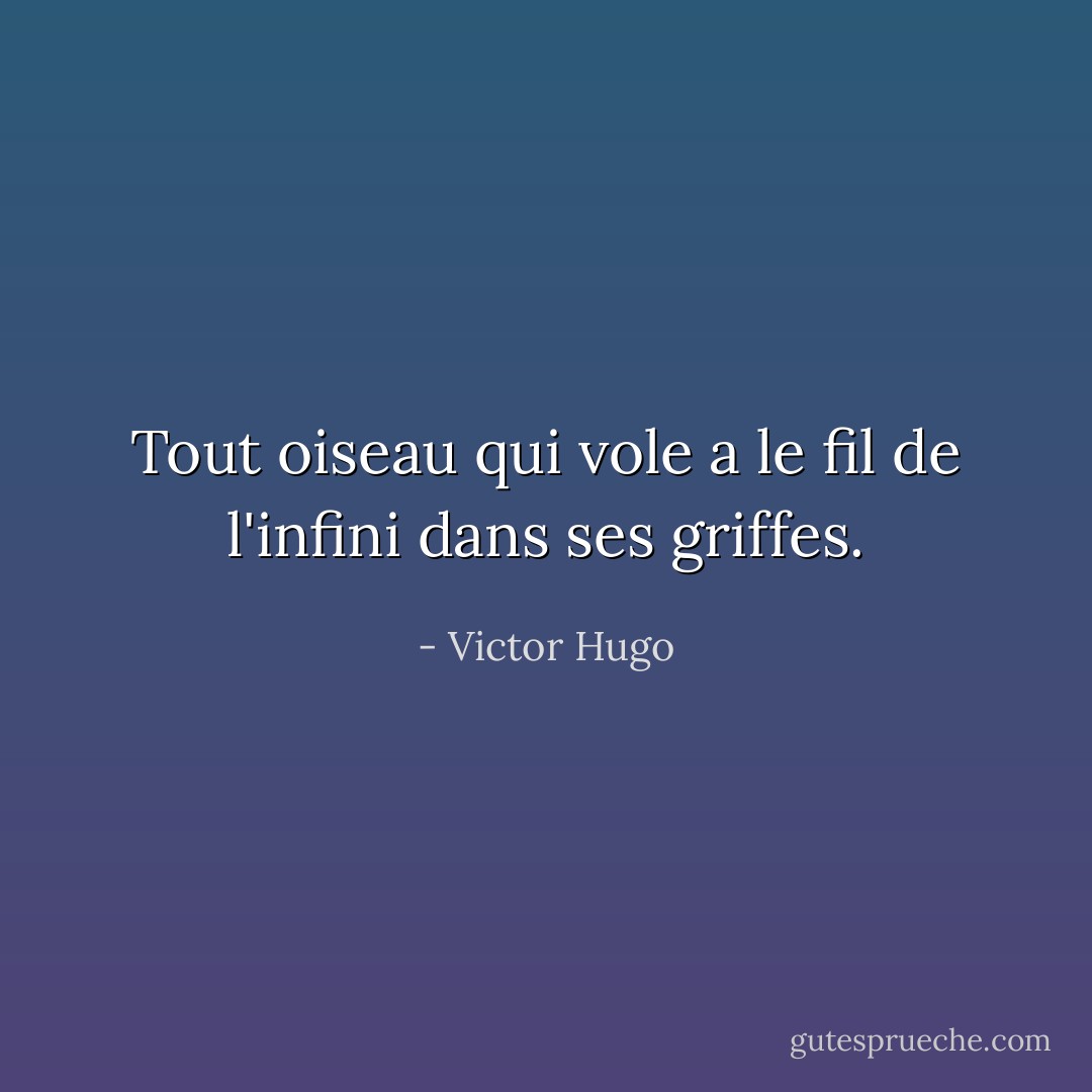 Tout oiseau qui vole a le fil de l'infini dans ses griffes. - Victor Hugo