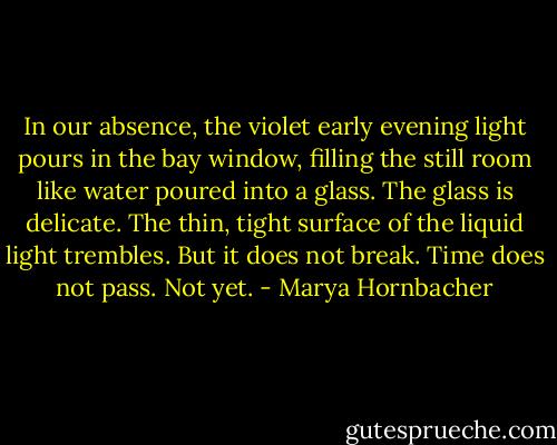In our absence, the violet early evening light pours in the bay window, filling the still room like water poured into a glass. The glass is delicate. The thin, tight surface of the liquid light trembles. But it does not break. Time does not pass. Not yet. - Marya Hornbacher