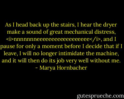 As I head back up the stairs, I hear the dryer make a sound of great mechanical distress, <i>nnnnnnneeeeeeeeeeeeeeeeee</i>, and I pause for only a moment before I decide that if I leave, I will no longer intimidate the machine, and it will then do its job very well without me. - Marya Hornbacher