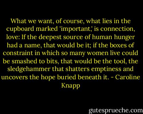 What we want, of course, what lies in the cupboard marked 'important,' is connection, love: If the deepest source of human hunger had a name, that would be it; if the boxes of constraint in which so many women live could be smashed to bits, that would be the tool, the sledgehammer that shatters emptiness and uncovers the hope buried beneath it. - Caroline Knapp