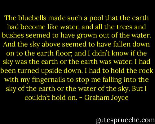 The bluebells made such a pool that the earth had become like water, and all the trees and bushes seemed to have grown out of the water. And the sky above seemed to have fallen down on to the earth floor; and I didn’t know if the sky was the earth or the earth was water. I had been turned upside down. I had to hold the rock with my fingernails to stop me falling into the sky of the earth or the water of the sky. But I couldn’t hold on. - Graham Joyce