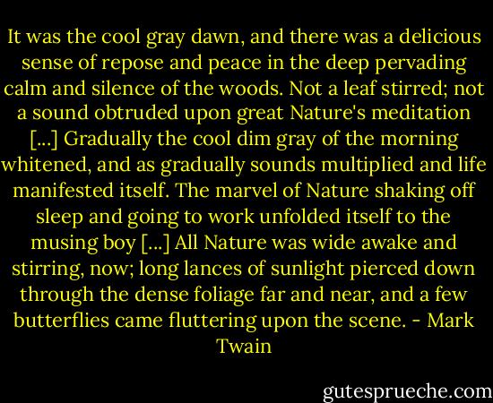 It was the cool gray dawn, and there was a delicious sense of repose and peace in the deep pervading calm and silence of the woods. Not a leaf stirred; not a sound obtruded upon great Nature's meditation [...] Gradually the cool dim gray of the morning whitened, and as gradually sounds multiplied and life manifested itself. The marvel of Nature shaking off sleep and going to work unfolded itself to the musing boy [...] All Nature was wide awake and stirring, now; long lances of sunlight pierced down through the dense foliage far and near, and a few butterflies came fluttering upon the scene. - Mark Twain