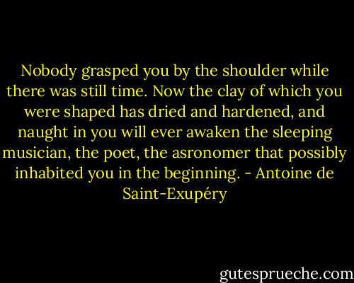 Nobody grasped you by the shoulder while there was still time. Now the clay of which you were shaped has dried and hardened, and naught in you will ever awaken the sleeping musician, the poet, the asronomer that possibly inhabited you in the beginning. - Antoine de Saint-Exupéry