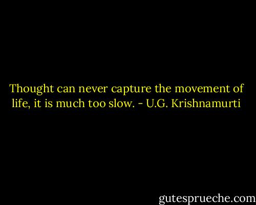 Thought can never capture the movement of life, it is much too slow. - U.G. Krishnamurti