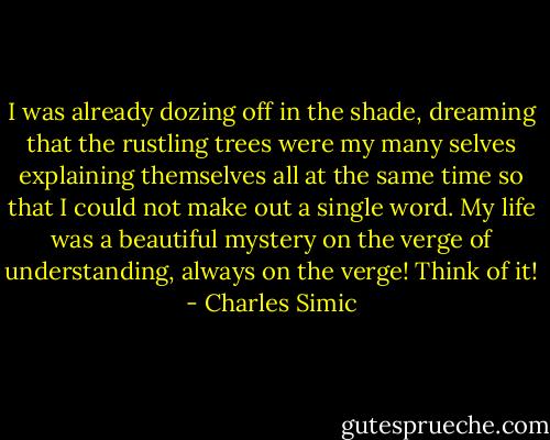 I was already dozing off in the shade, dreaming that the rustling trees were my many selves explaining themselves all at the same time so that I could not make out a single word. My life was a beautiful mystery on the verge of understanding, always on the verge! Think of it! - Charles Simic