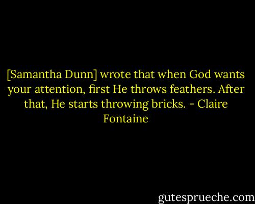 [Samantha Dunn] wrote that when God wants your attention, first He throws feathers. After that, He starts throwing bricks. - Claire Fontaine
