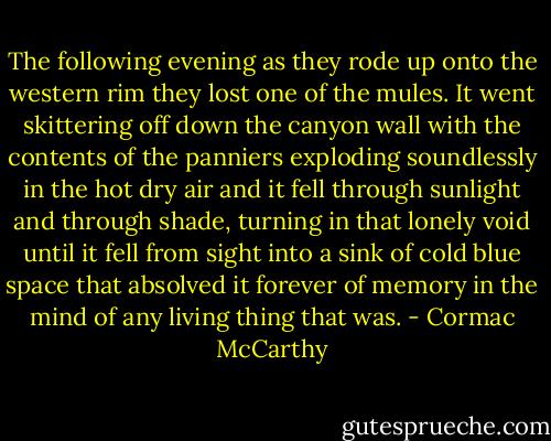 The following evening as they rode up onto the western rim they lost one of the mules. It went skittering off down the canyon wall with the contents of the panniers exploding soundlessly in the hot dry air and it fell through sunlight and through shade, turning in that lonely void until it fell from sight into a sink of cold blue space that absolved it forever of memory in the mind of any living thing that was. - Cormac McCarthy