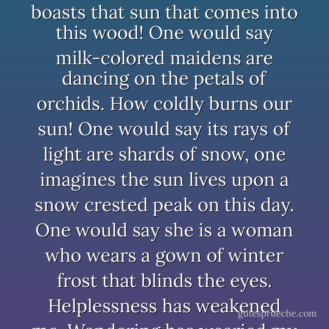 It is growing cold. Winter is putting footsteps in the meadow. What whiteness boasts that sun that comes into this wood! One would say milk-colored maidens are dancing on the petals of orchids. How coldly burns our sun! One would say its rays of light are shards of snow, one imagines the sun lives upon a snow crested peak on this day. One would say she is a woman who wears a gown of winter frost that blinds the eyes. Helplessness has weakened me. Wandering has wearied my legs. - Roman Payne