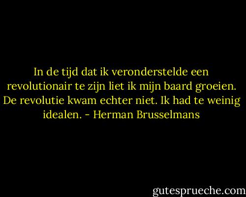 In de tijd dat ik veronderstelde een revolutionair te zijn liet ik mijn baard groeien. De revolutie kwam echter niet. Ik had te weinig idealen. - Herman Brusselmans