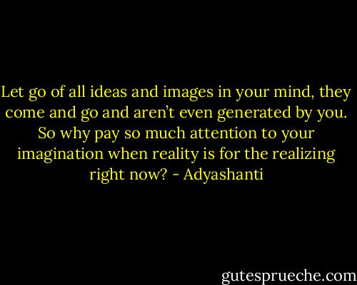 Let go of all ideas and images in your mind, they come and go and aren’t even generated by you. So why pay so much attention to your imagination when reality is for the realizing right now? - Adyashanti