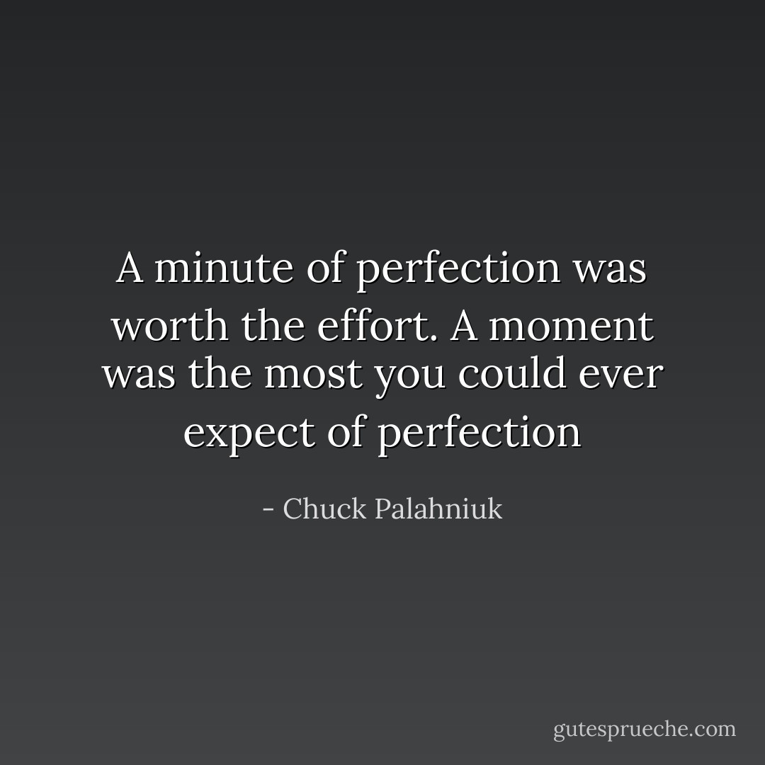 A minute of perfection was worth the effort. A moment was the most you could ever expect of perfection - Chuck Palahniuk
