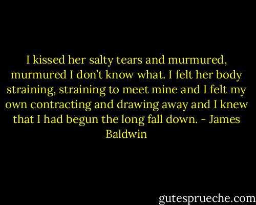 I kissed her salty tears and murmured, murmured I don’t know what. I felt her body straining, straining to meet mine and I felt my own contracting and drawing away and I knew that I had begun the long fall down. - James Baldwin