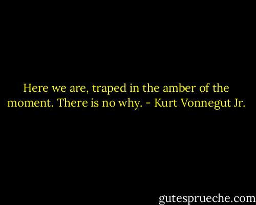 Here we are, traped in the amber of the moment. There is no why. - Kurt Vonnegut Jr.