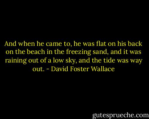 And when he came to, he was flat on his back on the beach in the freezing sand, and it was raining out of a low sky, and the tide was way out. - David Foster Wallace