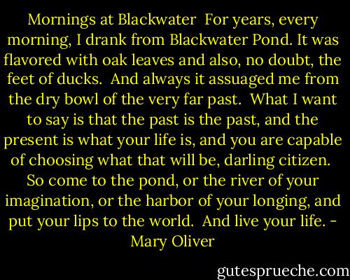 Mornings at Blackwater<br /><br />For years, every morning, I drank<br />from Blackwater Pond.<br />It was flavored with oak leaves and also, no doubt,<br />the feet of ducks.<br /><br />And always it assuaged me<br />from the dry bowl of the very far past.<br /><br />What I want to say is<br />that the past is the past,<br />and the present is what your life is,<br />and you are capable<br />of choosing what that will be,<br />darling citizen.<br /><br />So come to the pond,<br />or the river of your imagination,<br />or the harbor of your longing,<br />and put your lips to the world.<br /><br />And live<br />your life. - Mary Oliver