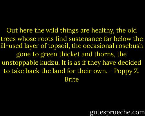 Out here the wild things are healthy, the old trees whose roots find sustenance far below the ill-used layer of topsoil, the occasional rosebush gone to green thicket and thorns, the unstoppable kudzu. It is as if they have decided to take back the land for their own. - Poppy Z. Brite