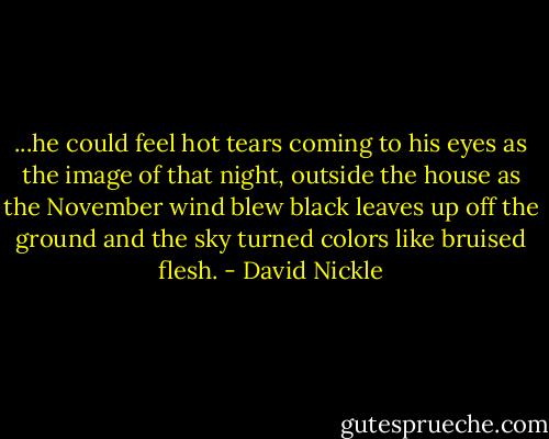 ...he could feel hot tears coming to his eyes as the image of that night, outside the house as the November wind blew black leaves up off the ground and the sky turned colors like bruised flesh. - David Nickle