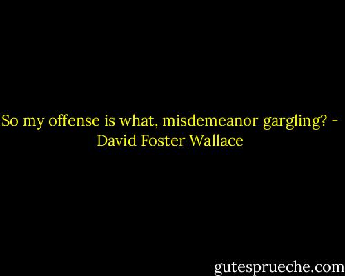 So my offense is what, misdemeanor gargling? - David Foster Wallace