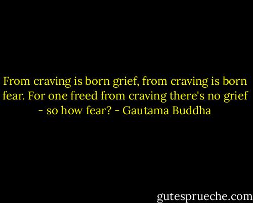 From craving is born grief, from craving is born fear. For one freed from craving there's no grief - so how fear? - Gautama Buddha
