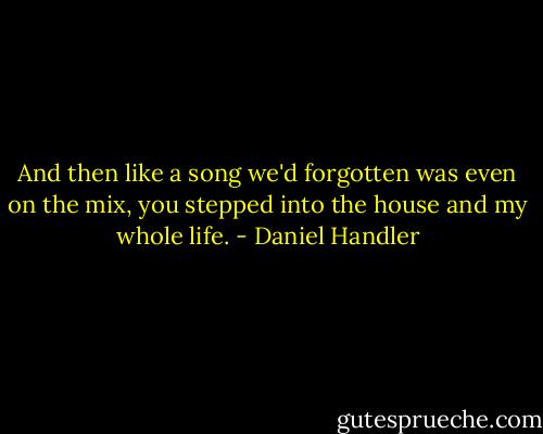 And then like a song we'd forgotten was even on the mix, you stepped into the house and my whole life. - Daniel Handler