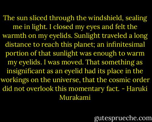 The sun sliced through the windshield, sealing me in light. I closed my eyes and felt the warmth on my eyelids. Sunlight traveled a long distance to reach this planet; an infinitesimal portion of that sunlight was enough to warm my eyelids. I was moved. That something as insignificant as an eyelid had its place in the workings on the universe, that the cosmic order did not overlook this momentary fact. - Haruki Murakami