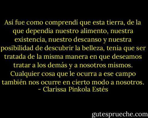Así fue como comprendí que esta tierra, de la que dependía nuestro alimento, nuestra existencia, nuestro descanso y nuestra posibilidad de descubrir la belleza, tenia que ser tratada de la misma manera en que deseamos tratar a los demás y a nosotros mismos. Cualquier cosa que le ocurra a ese campo también nos ocurre en cierto modo a nosotros. - Clarissa Pinkola Estés