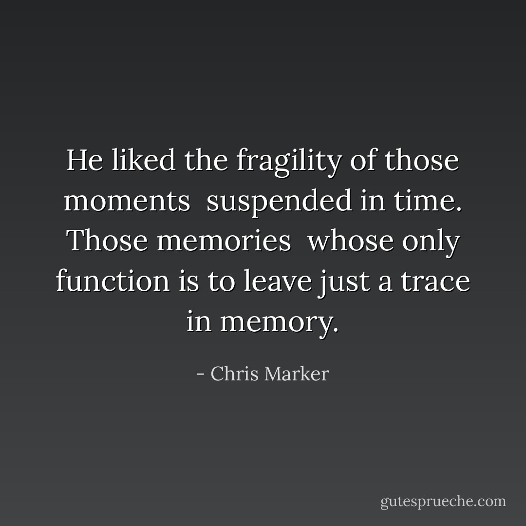 He liked the fragility of those moments <br />suspended in time. Those memories <br />whose only function is to leave just a trace in memory. - Chris Marker