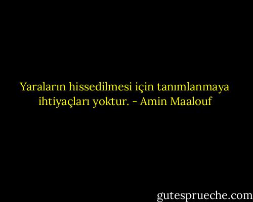Yaraların hissedilmesi için tanımlanmaya ihtiyaçları yoktur. - Amin Maalouf