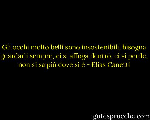 Gli occhi molto belli sono insostenibili, bisogna guardarli sempre, ci si affoga dentro, ci si perde, non si sa più dove si è - Elias Canetti