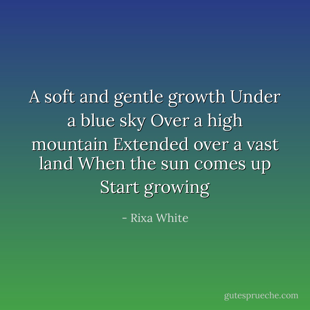 A soft and gentle growth<br />Under a blue sky<br />Over a high mountain<br />Extended over a vast land<br />When the sun comes up<br />Start growing - Rixa White