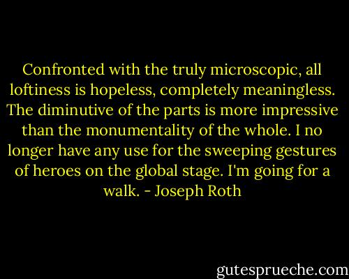 Confronted with the truly microscopic, all loftiness is hopeless, completely meaningless. The diminutive of the parts is more impressive than the monumentality of the whole. I no longer have any use for the sweeping gestures of heroes on the global stage. I'm going for a walk. - Joseph Roth