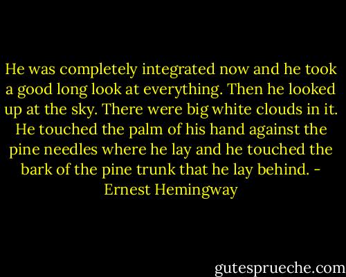He was completely integrated now and he took a good long look at everything. Then he looked up at the sky. There were big white clouds in it. He touched the palm of his hand against the pine needles where he lay and he touched the bark of the pine trunk that he lay behind. - Ernest Hemingway