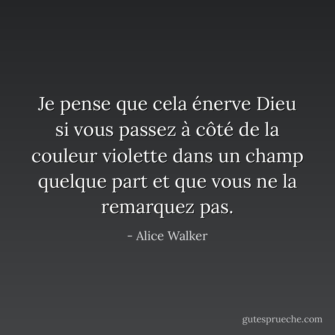 Je pense que cela énerve Dieu si vous passez à côté de la couleur violette dans un champ quelque part et que vous ne la remarquez pas. - Alice Walker