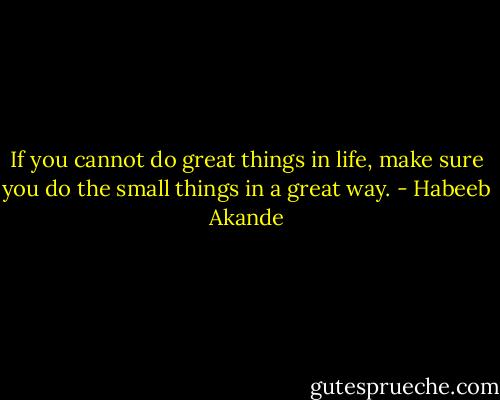 If you cannot do great things in life, make sure you do the small things in a great way. - Habeeb Akande