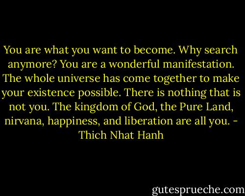 You are what you want to become. Why search anymore? You are a wonderful manifestation. The whole universe has come together to make your existence possible. There is nothing that is not you. The kingdom of God, the Pure Land, nirvana, happiness, and liberation are all you. - Thich Nhat Hanh