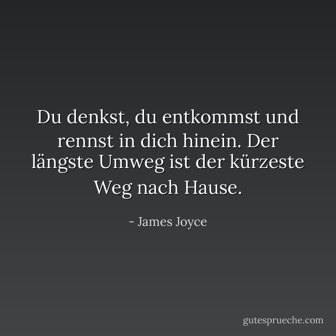 Du denkst, du entkommst und rennst in dich hinein. Der längste Umweg ist der kürzeste Weg nach Hause. - James Joyce<