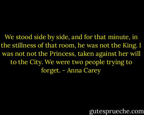 We stood side by side, and for that minute, in the stillness of that room, he was not the King. I was not not the Princess, taken against her will to the City. We were two people trying to forget. - Anna Carey