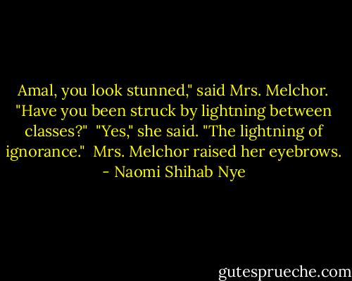 Amal, you look stunned," said Mrs. Melchor. "Have you been struck by lightning between classes?"<br /><br />"Yes," she said. "The lightning of ignorance."<br /><br />Mrs. Melchor raised her eyebrows. - Naomi Shihab Nye