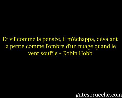 Et vif comme la pensée, il m'échappa, dévalant la pente comme l'ombre d'un nuage quand le vent souffle - Robin Hobb
