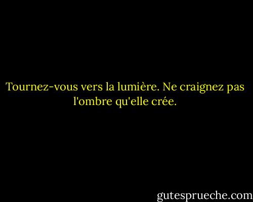 Tournez-vous vers la lumière. Ne craignez pas l'ombre qu'elle crée. - Ted Dekker