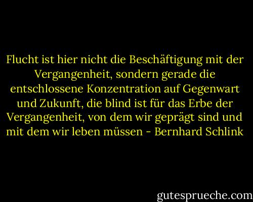 Flucht ist hier nicht die Beschäftigung mit der Vergangenheit, sondern gerade die entschlossene Konzentration auf Gegenwart und Zukunft, die blind ist für das Erbe der Vergangenheit, von dem wir geprägt sind und mit dem wir leben müssen - Bernhard Schlink