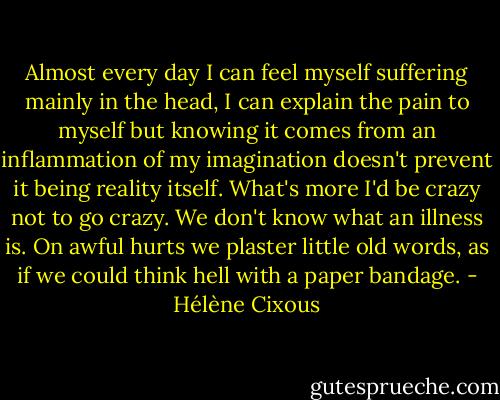 Almost every day I can feel myself suffering mainly in the head, I can explain the pain to myself but knowing it comes from an inflammation of my imagination doesn't prevent it being reality itself. What's more I'd be crazy not to go crazy. We don't know what an illness is. On awful hurts we plaster little old words, as if we could think hell with a paper bandage. - Hélène Cixous