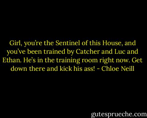 Girl, you’re the Sentinel of this House, and you’ve been trained by Catcher and Luc and Ethan. He’s in the training room right now. Get down there and kick his ass! - Chloe Neill