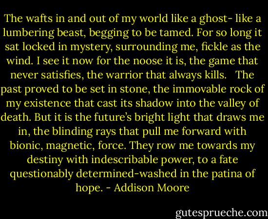 The wafts in and out of my world like a ghost- like a lumbering beast, begging to be tamed. For so long it sat locked in mystery, surrounding me, fickle as the wind. I see it now for the noose it is, the game that never satisfies, the warrior that always kills.<br /><br /><br />The past proved to be set in stone, the immovable rock of my existence that cast its shadow into the valley of death. But it is the future’s bright light that draws me in, the blinding rays that pull me forward with bionic, magnetic, force. They row me towards my destiny with indescribable power, to a fate questionably determined-washed in the patina of hope. - Addison Moore