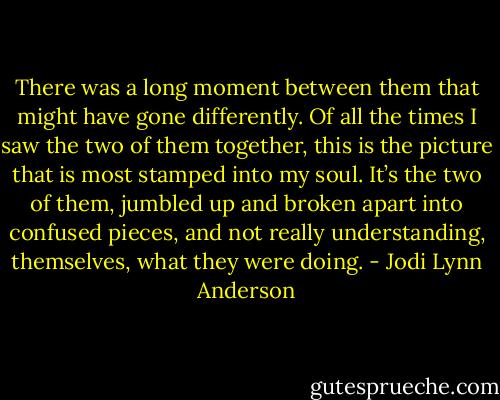There was a long moment between them that might have gone differently. Of all the times I saw the two of them together, this is the picture that is most stamped into my soul. It’s the two of them, jumbled up and broken apart into confused pieces, and not really understanding, themselves, what they were doing. - Jodi Lynn Anderson