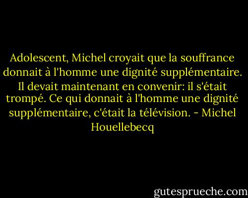 Adolescent, Michel croyait que la souffrance donnait à l'homme une dignité supplémentaire. Il devait maintenant en convenir: il s'était trompé. Ce qui donnait à l'homme une dignité supplémentaire, c'était la télévision. - Michel Houellebecq