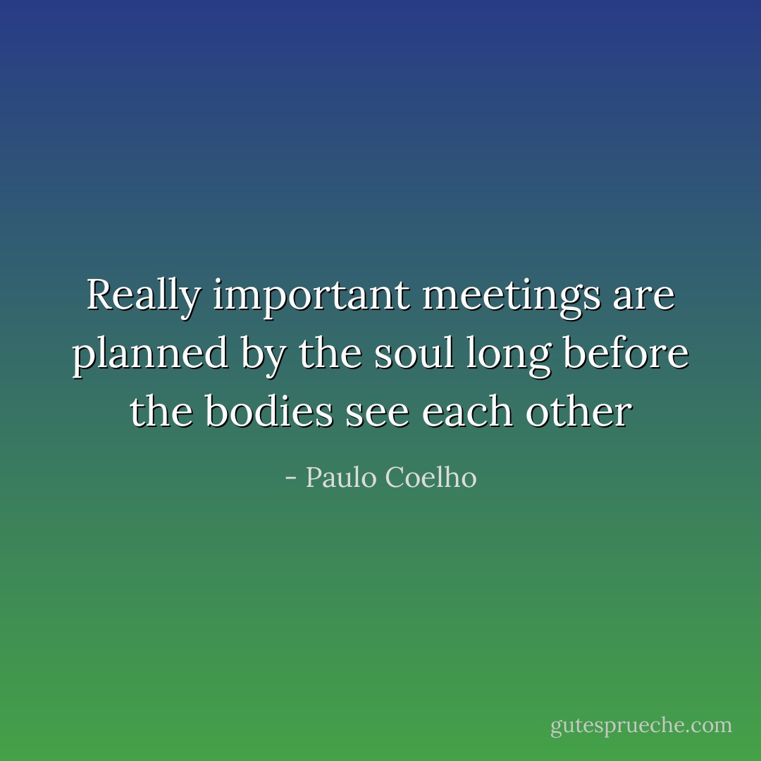 Really important meetings are planned by the soul long before the bodies see each other - Paulo Coelho